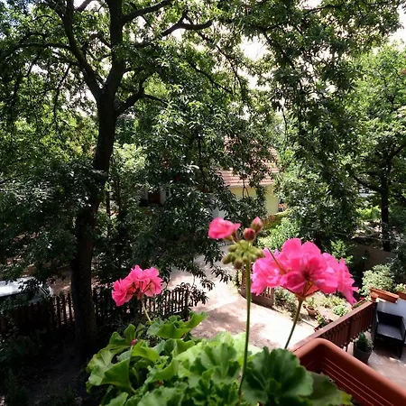 Διαμέρισμα Lakeside Palkove