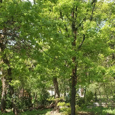 Lakeside Διαμέρισμα Palkove